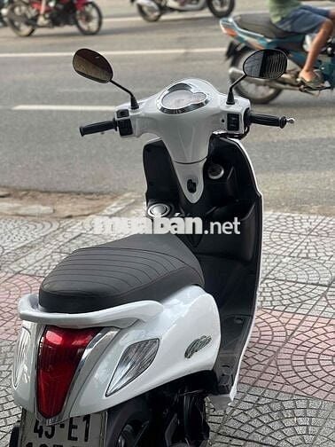 Nozza Fi  Nguên bản 43