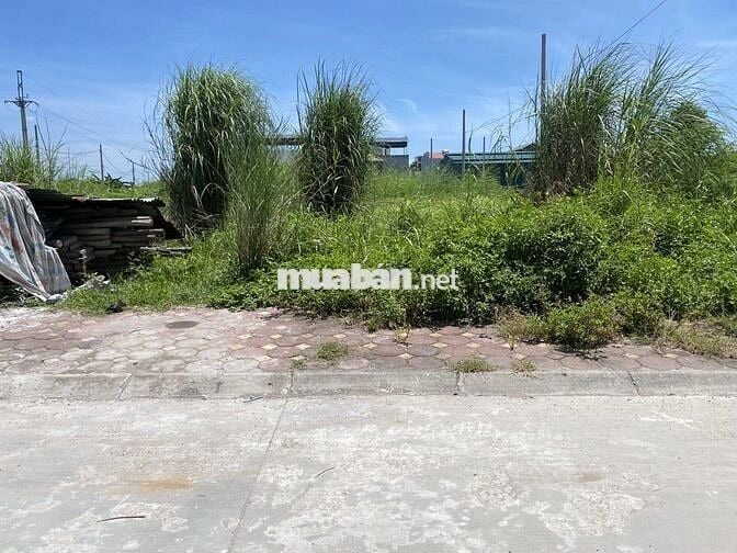 Bán gấp đất đấu giá Hoàng Xá  ,ô tô ,phân lô ,vỉa hè giá  6.4 tỷ