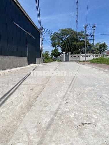 Bán gấp đất đấu giá Hoàng Xá  ,ô tô ,phân lô ,vỉa hè giá  6.4 tỷ