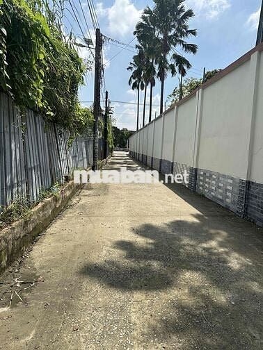 Bán đất vườn gần đường CMT8, tặng nhà cấp 4 kiên cố.