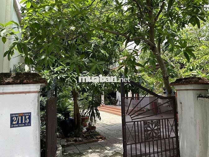 Bán đất vườn gần đường CMT8, tặng nhà cấp 4 kiên cố.