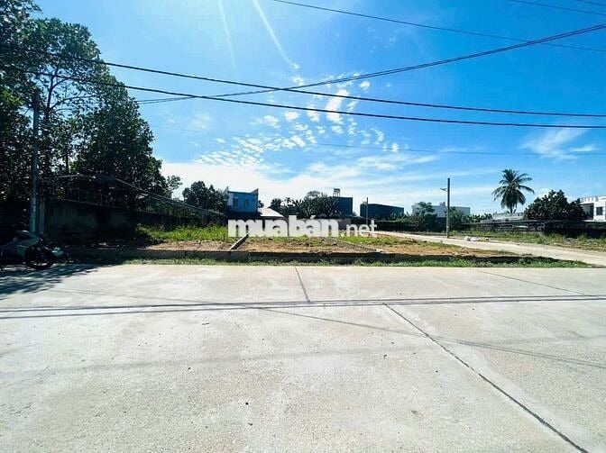 🎯B.án Đất Nhà vườn Diện tích lớn Phường Hòa Xuân ĐN 🎯