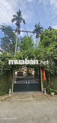 Cần cho thuê căn biệt thự View sông Hồng