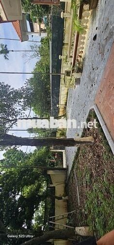 Cần cho thuê căn biệt thự View sông Hồng