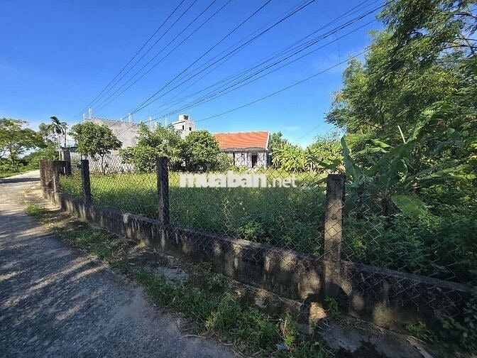 🎯B.án Đất Nhà vườn Diện tích lớn Phường Hòa Xuân ĐN 🎯