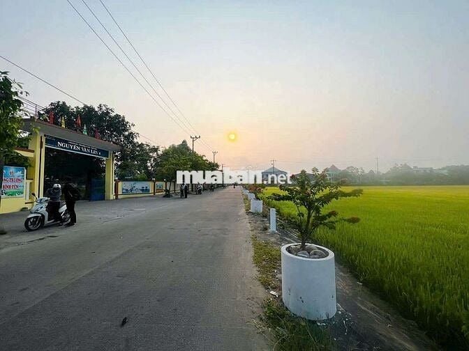 🎯B.án Đất Nhà vườn Diện tích lớn Phường Hòa Xuân ĐN 🎯