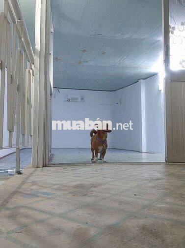 Cho thuê nhà nguyên căn 36m², 2 tầng gần ĐH Ngoại Thương
