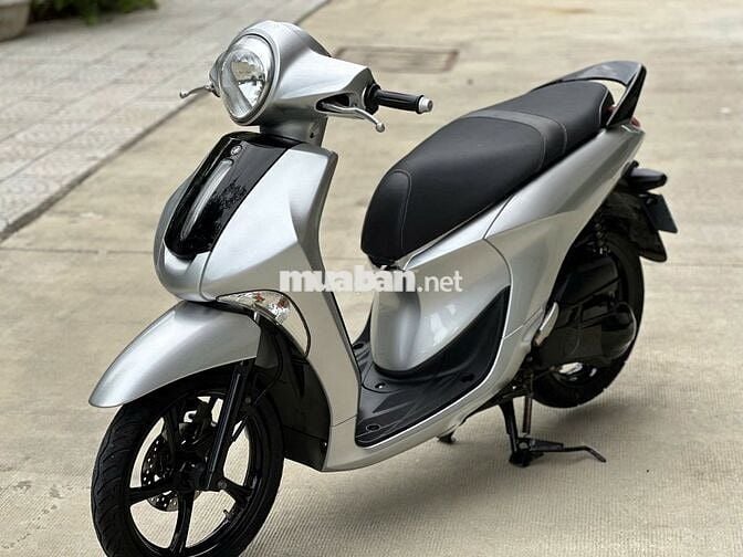 Janus bạc màu đẹp ghê ACE ơi