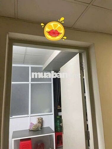 Thang máy nhà ở xã hội Việt sing: 640 triệu ,toàn quốc mua được