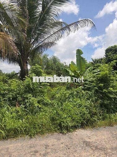 Cần bán gấp lô đất đẹp 120m2 Hiệp Thành Gò Dầu Tây Ninh