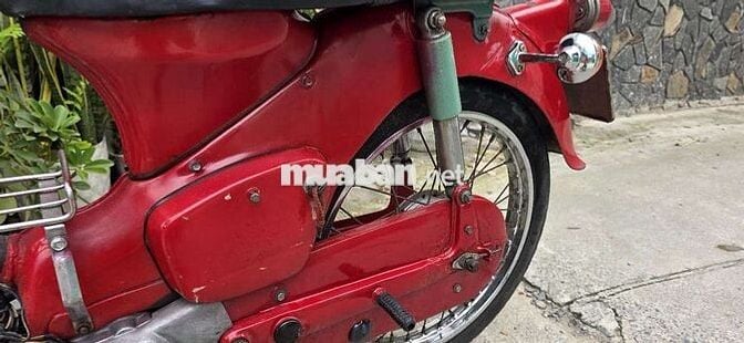 Cub 50cc