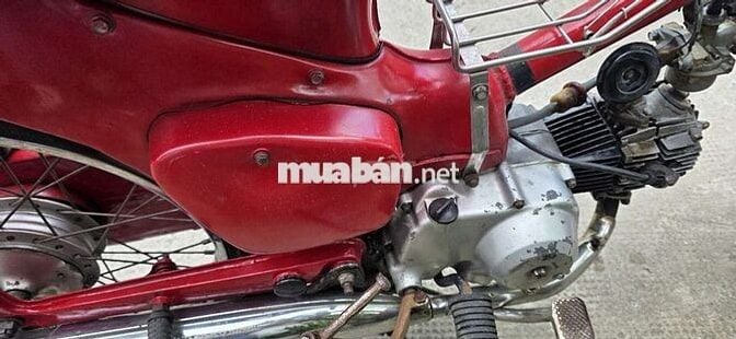 Cub 50cc