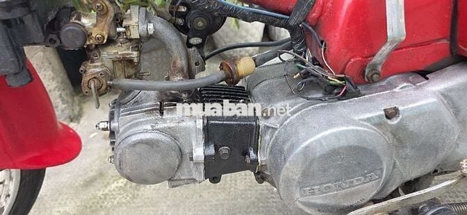 Cub 50cc