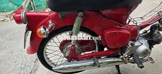 Cub 50cc