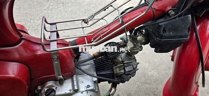 Cub 50cc