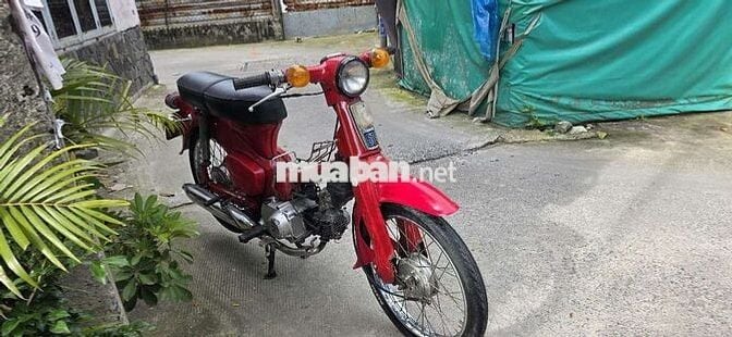 Cub 50cc