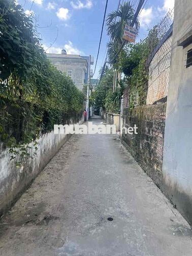 Bán Đất Ngọc Thuỵ,Long Biên Giá Cực Tốt 55M mặt tiền 5m5 chỉ 5,x tỷ Bán Đất Ngọc Thuỵ,Long Biên Giá Cực Tốt 55M mặt tiền 5m5 chỉ 5,x tỷ