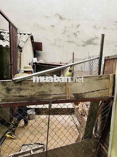 Bán Đất Ngọc Thuỵ,Long Biên Giá Cực Tốt 55M mặt tiền 5m5 chỉ 5,x tỷ