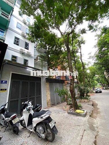 136 HỒ TÙNG MẬU - NGAY GOLD MARK CITY - STUDO CỬA SỔ THOÁNG GÁC XÉP