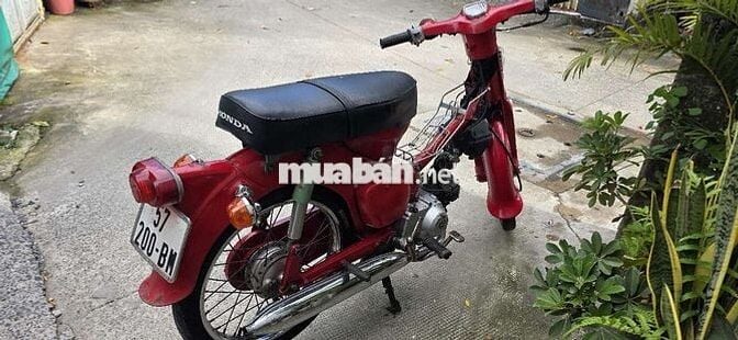 Cub 50cc