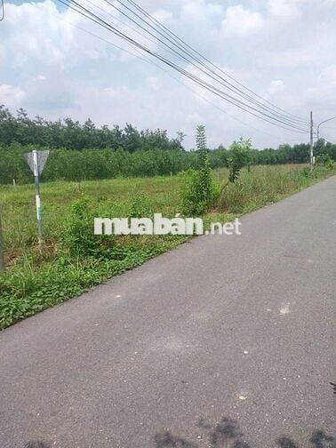 đất đẹp lai uyên,dh 516 bàu bàng 360m2,thổ cư,sổ hồng riêng