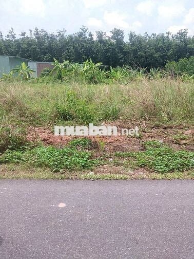 đất đẹp lai uyên,dh 516 bàu bàng 360m2,thổ cư,sổ hồng riêng