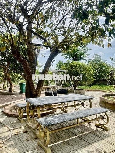 Cho Thuê nhà vườn Kênh T5 Hưng Long - Bình Chánh