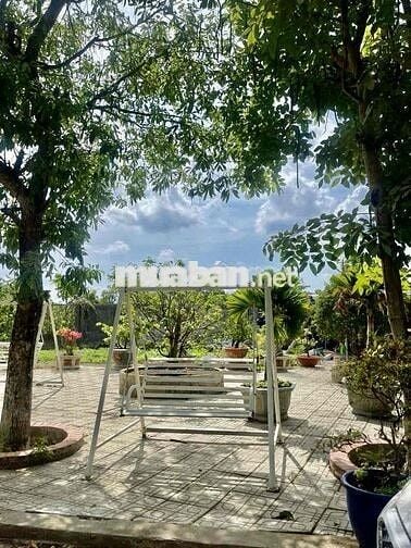 Cho Thuê nhà vườn Kênh T5 Hưng Long - Bình Chánh