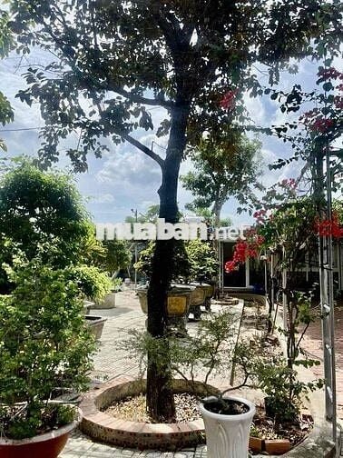 Cho Thuê nhà vườn Kênh T5 Hưng Long - Bình Chánh