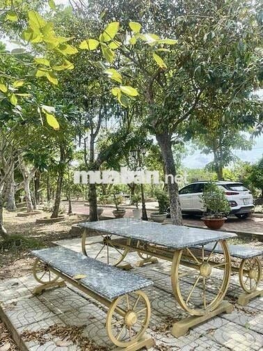 Cho Thuê nhà vườn Kênh T5 Hưng Long - Bình Chánh