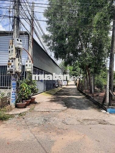 Bán đất Phú hoà nhánh hẻm nguyễn thị minh khai TDM cũ