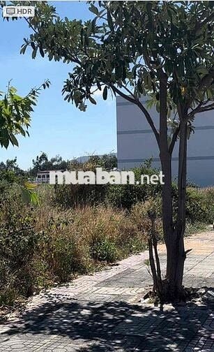 CHÍNH CHỦ CẦN BÁN GẤP ĐẤT TRUNG TÂM BÀ RỊA VŨNG TÀU