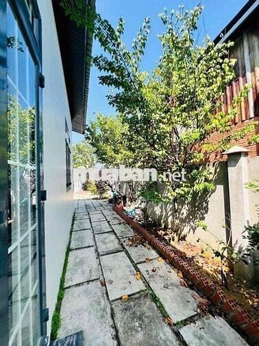 Vỡ nợ bán gấp ViLla nghĩ dưỡng 10x46 = 455m2