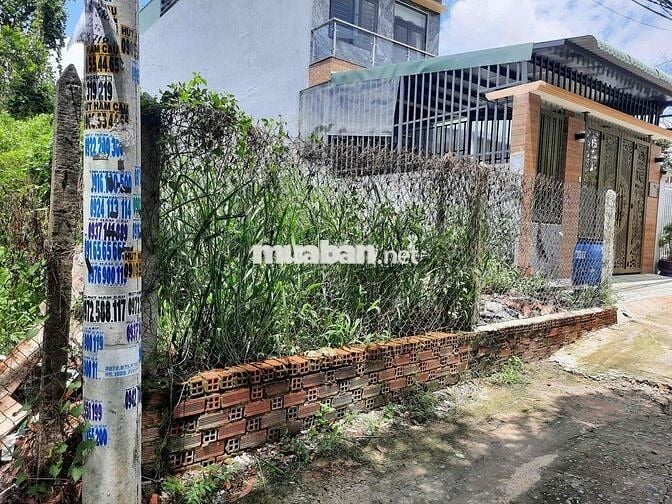 Bán đất Phú hoà nhánh hẻm nguyễn thị minh khai TDM cũ