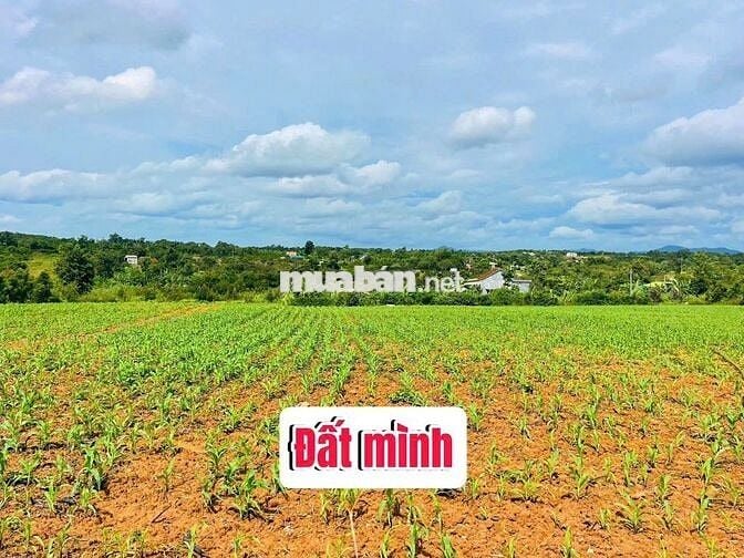 Đất sào thổ cư tại Cư ni- Ea kar- Daklak