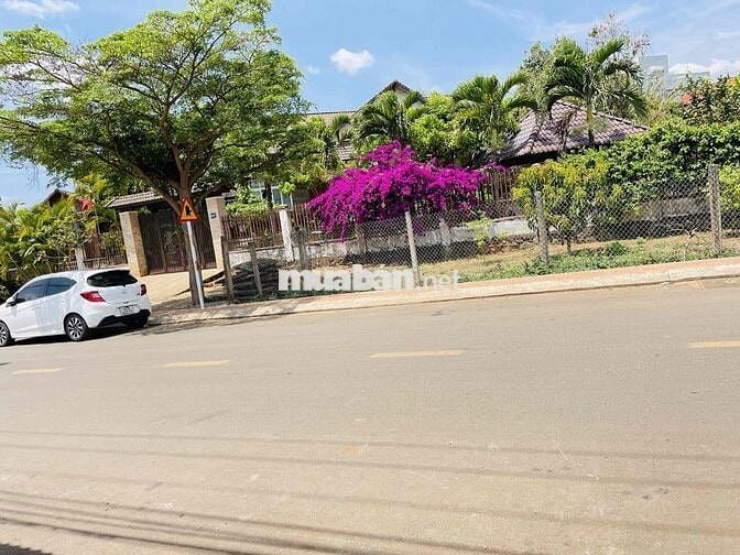 Nhà Dã Tượng 312m2 ( TC 100m2)