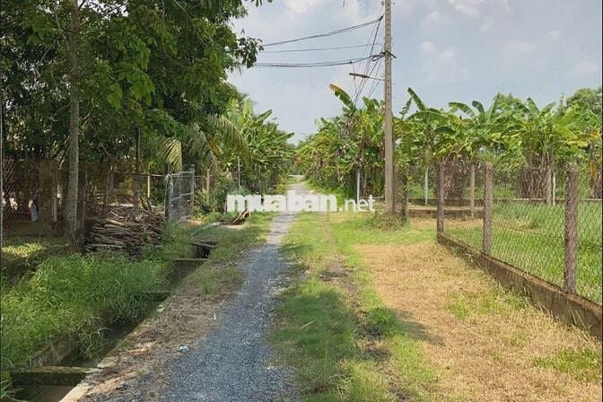 Đất 1/Trung Lập - Trung Lập Thượng : 212m2 (7x30) . Giá 680 triệu