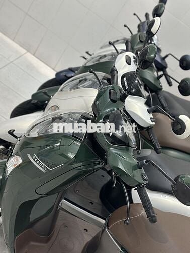 Scoopy 2025