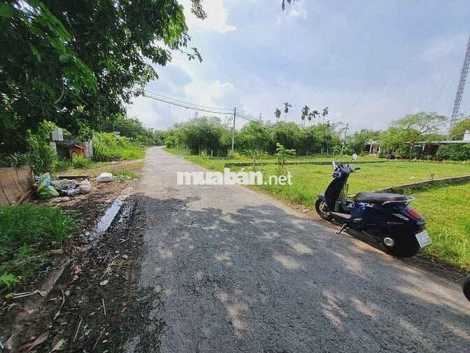 Đất 1/ Trung Lập - Trung Lập Thượng: 156m2 - thổ 125m2. Giá 650 triệu