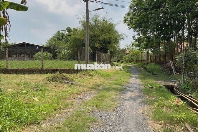 Đất 1/Trung Lập - Trung Lập Thượng : 212m2 (7x30) . Giá 680 triệu