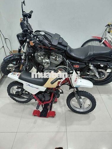 Cào cào yamaha 50cc nội địa nhật