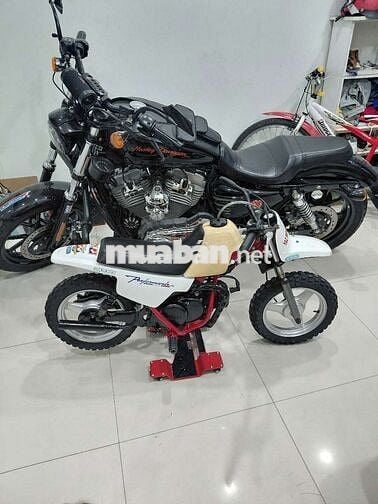 Cào cào yamaha 50cc nội địa nhật