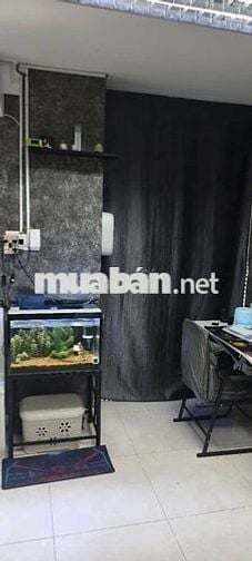 Kiếm ở ghép 1:1 trong toà nhà nguyên căn 2 pn