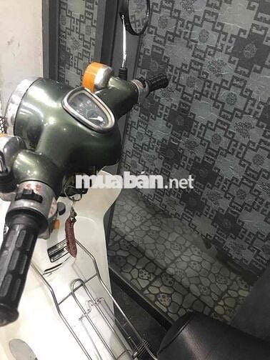 Honda  Cup 81/50 cc