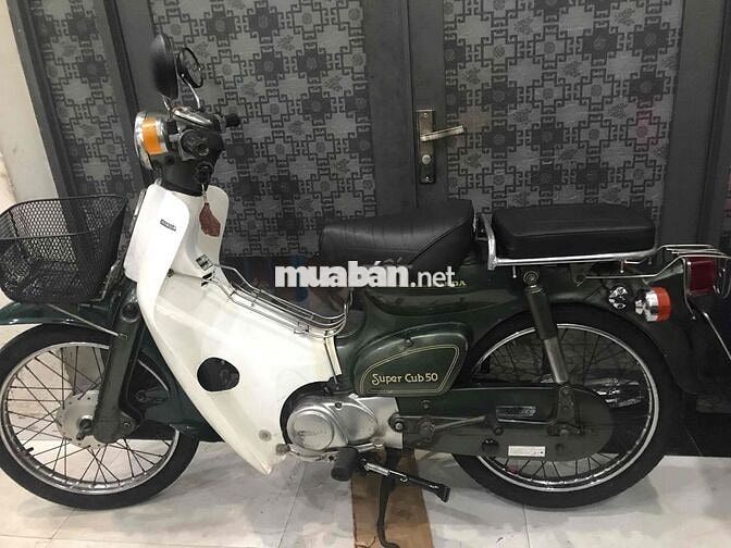 Honda  Cup 81/50 cc