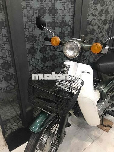 Honda  Cup 81/50 cc