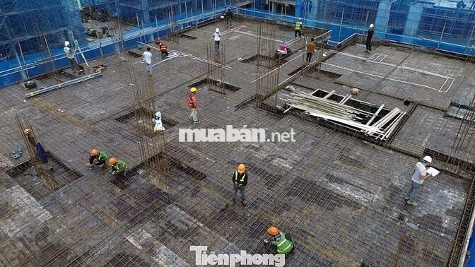 Hỗ trợ Ghi-Hoàn thiện hồ sơ Để nộp mua dự án NOXH 319 Uy Nỗ Đông Anh