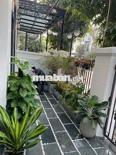 Cho thuê biệt thự liền kề Vinhomes Ocean Park 1 full nội thất chỉ 25t