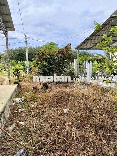 Bán đất mặt tiền đường thông gần KCN Chà Là, gần sát DT784B, giá 420tr