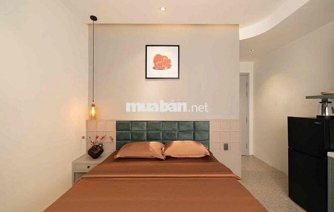 Cho Thuê Căn Hộ Studio Cửa Sổ Lớn Ngay Chợ Tân Định